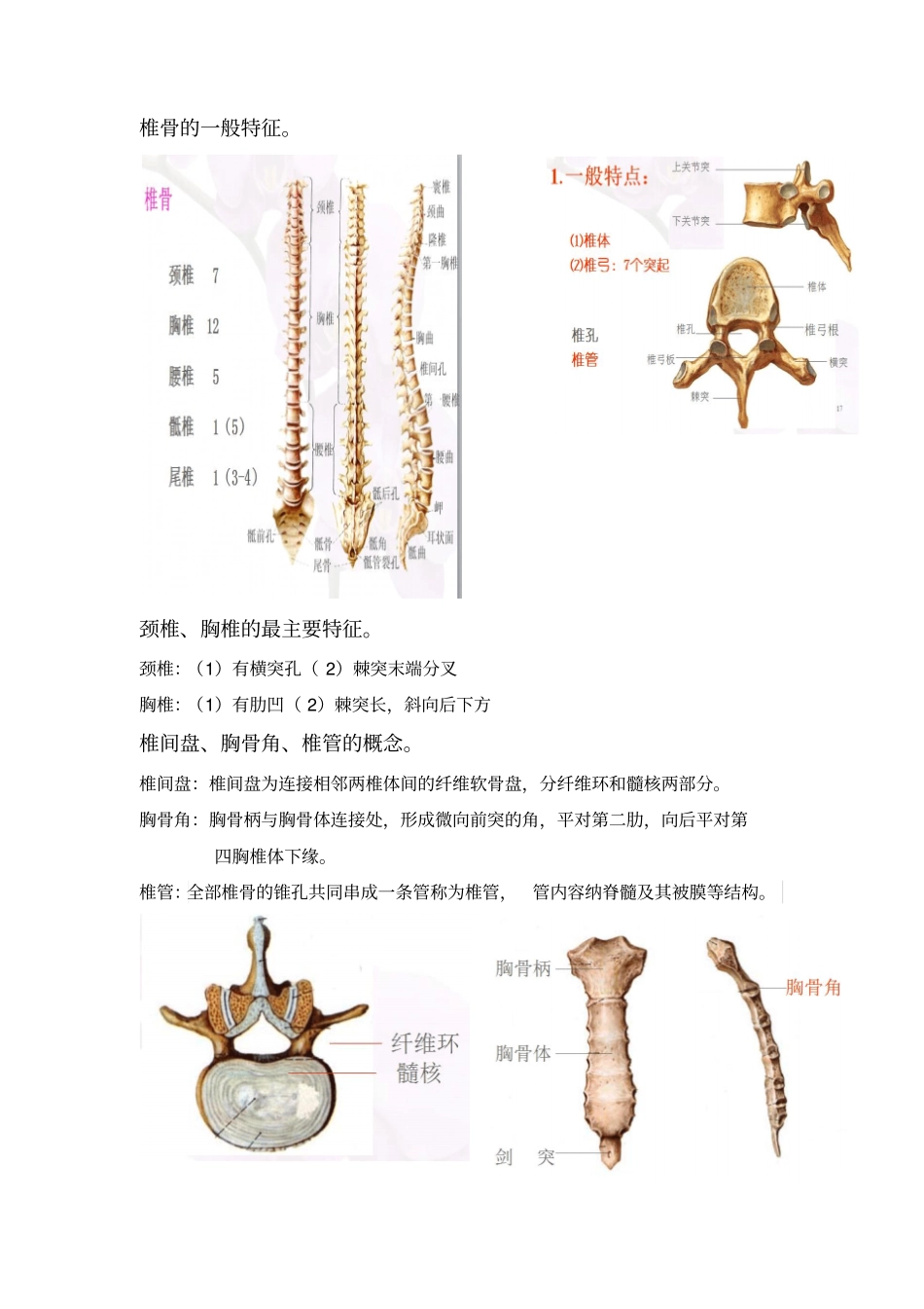 简明人体解剖练习简单版附答案要点_第2页