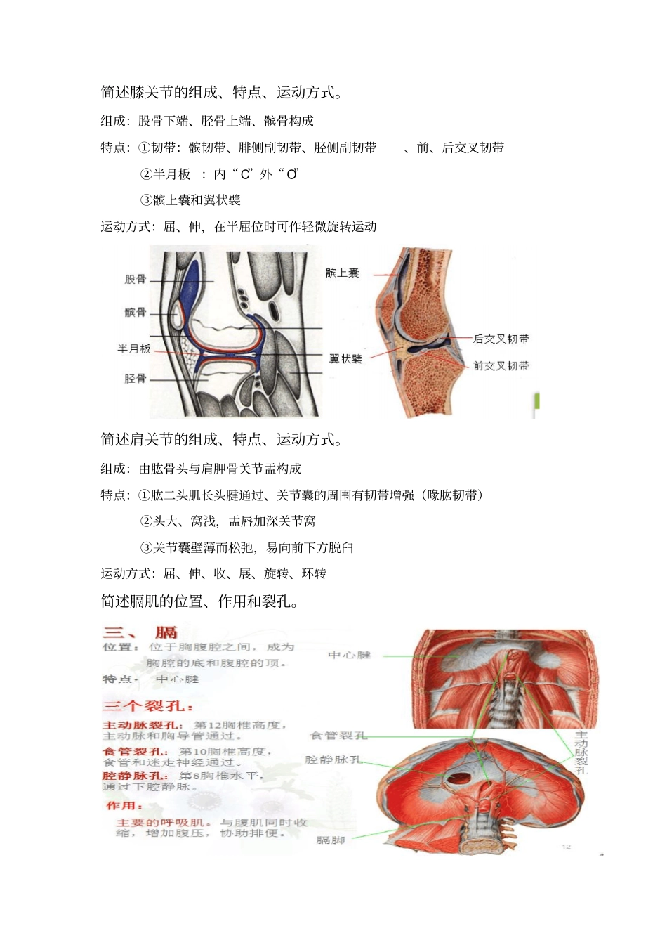 简明人体解剖练习简单版附答案要点_第3页