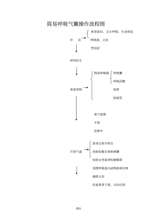 简易呼吸气囊操作流程08932