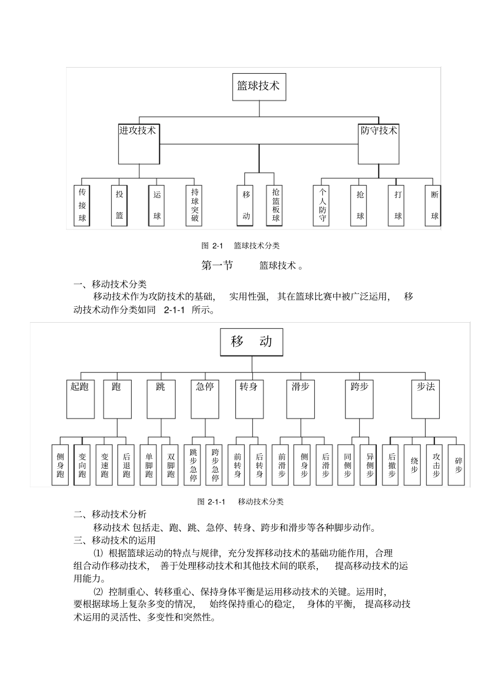 篮球运动概述_第3页