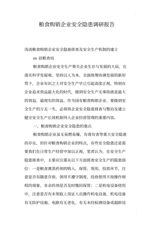 粮食购销企业安全隐患调研报告