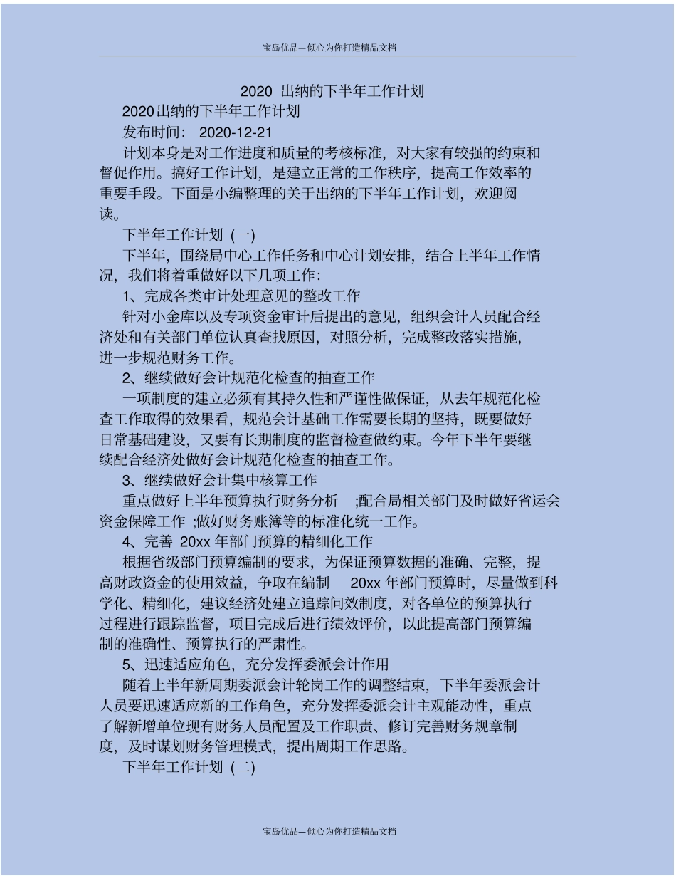 精2020出纳的下半年工作计划_第2页