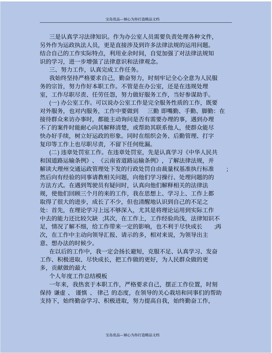 精个人年工作总结格式模板_第3页