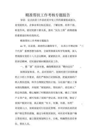 精准帮扶工作考核专题报告