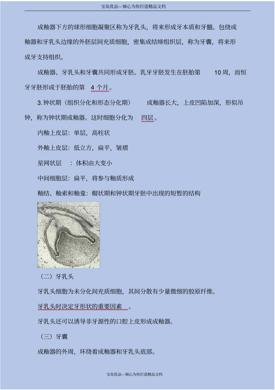 精口腔组织病理学——牙的发育_第3页