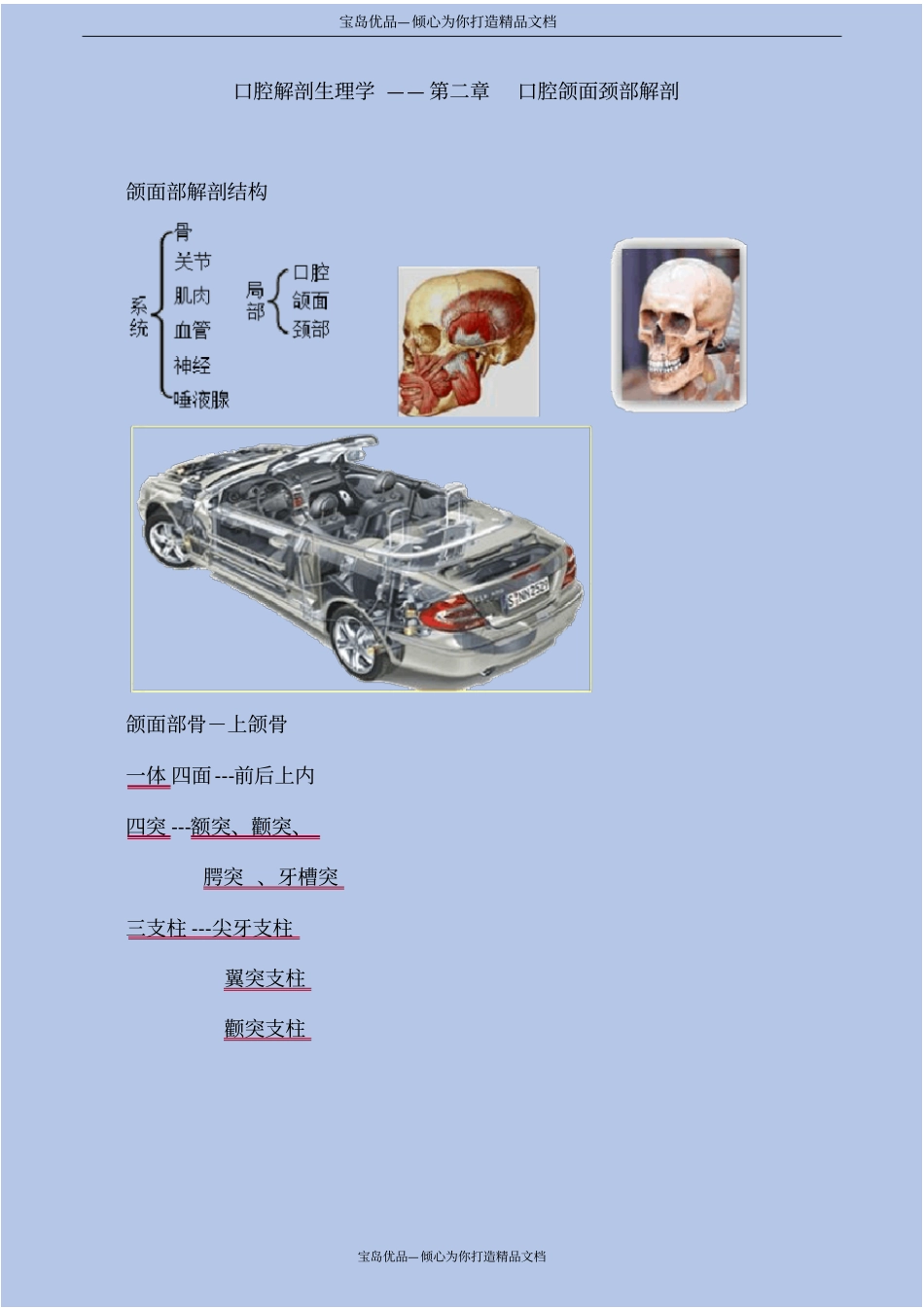 精口腔解剖生理学—口腔颌面颈部解剖_第2页