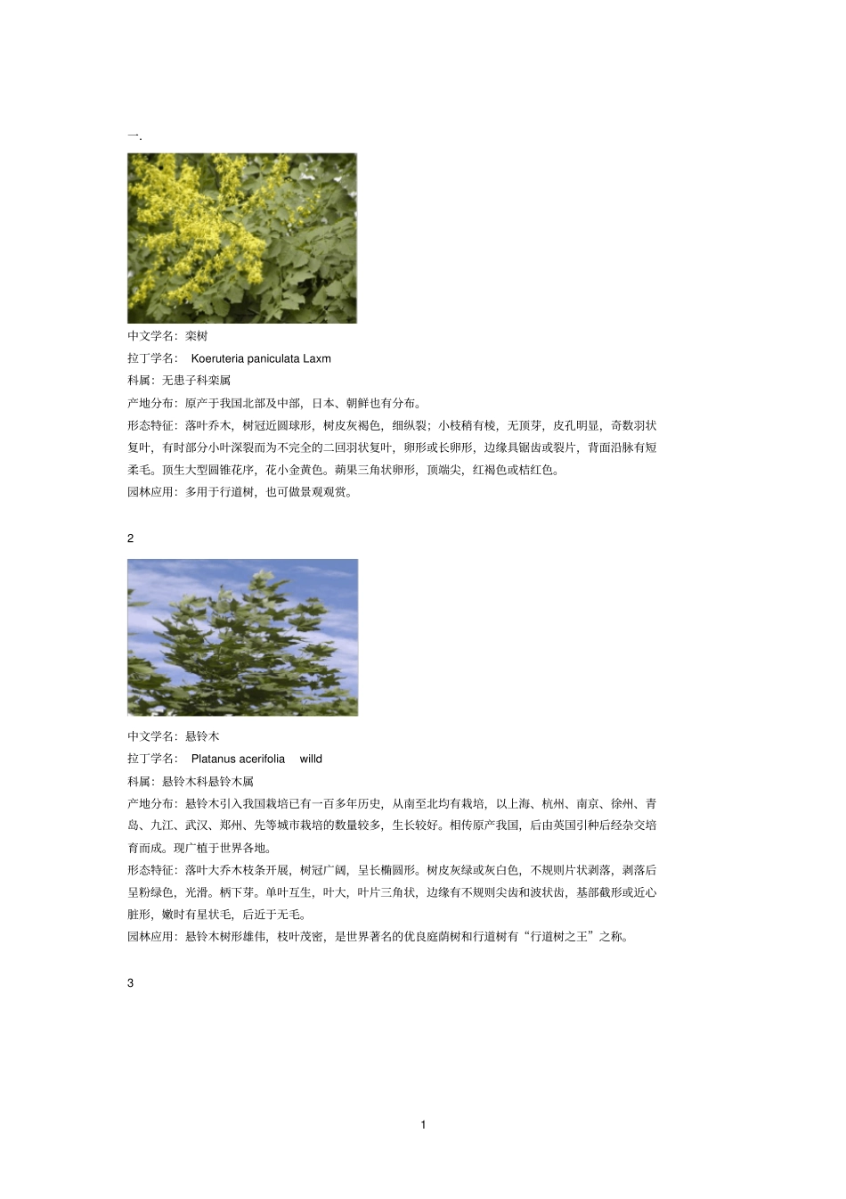 精品树木学180种树木_第1页