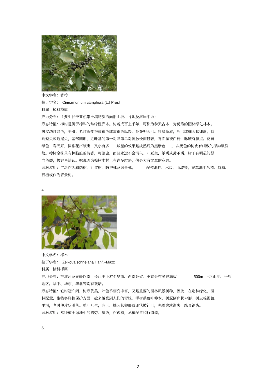 精品树木学180种树木_第2页