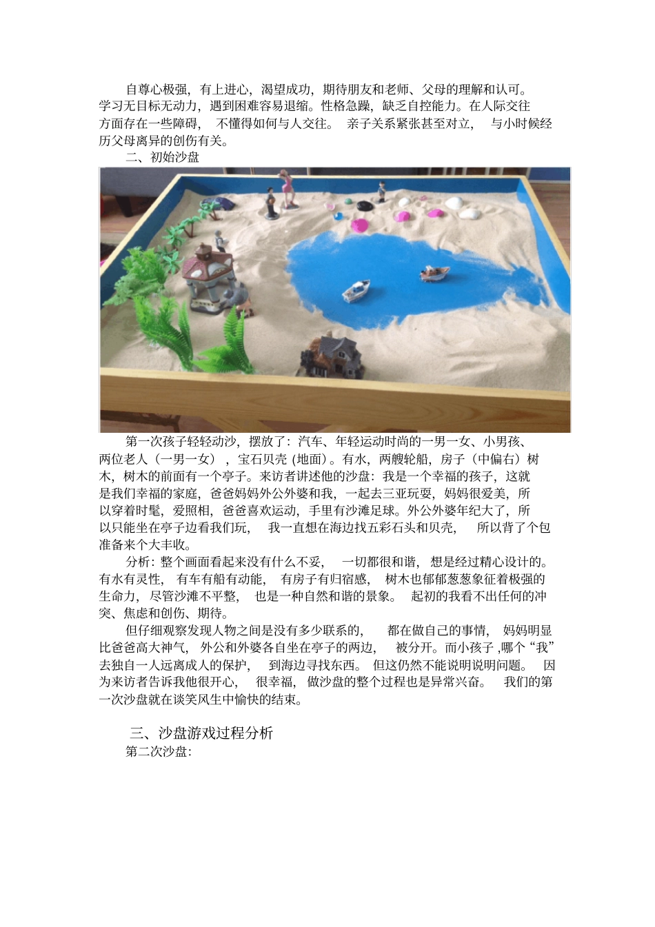 精品沙盘个案报告_第2页