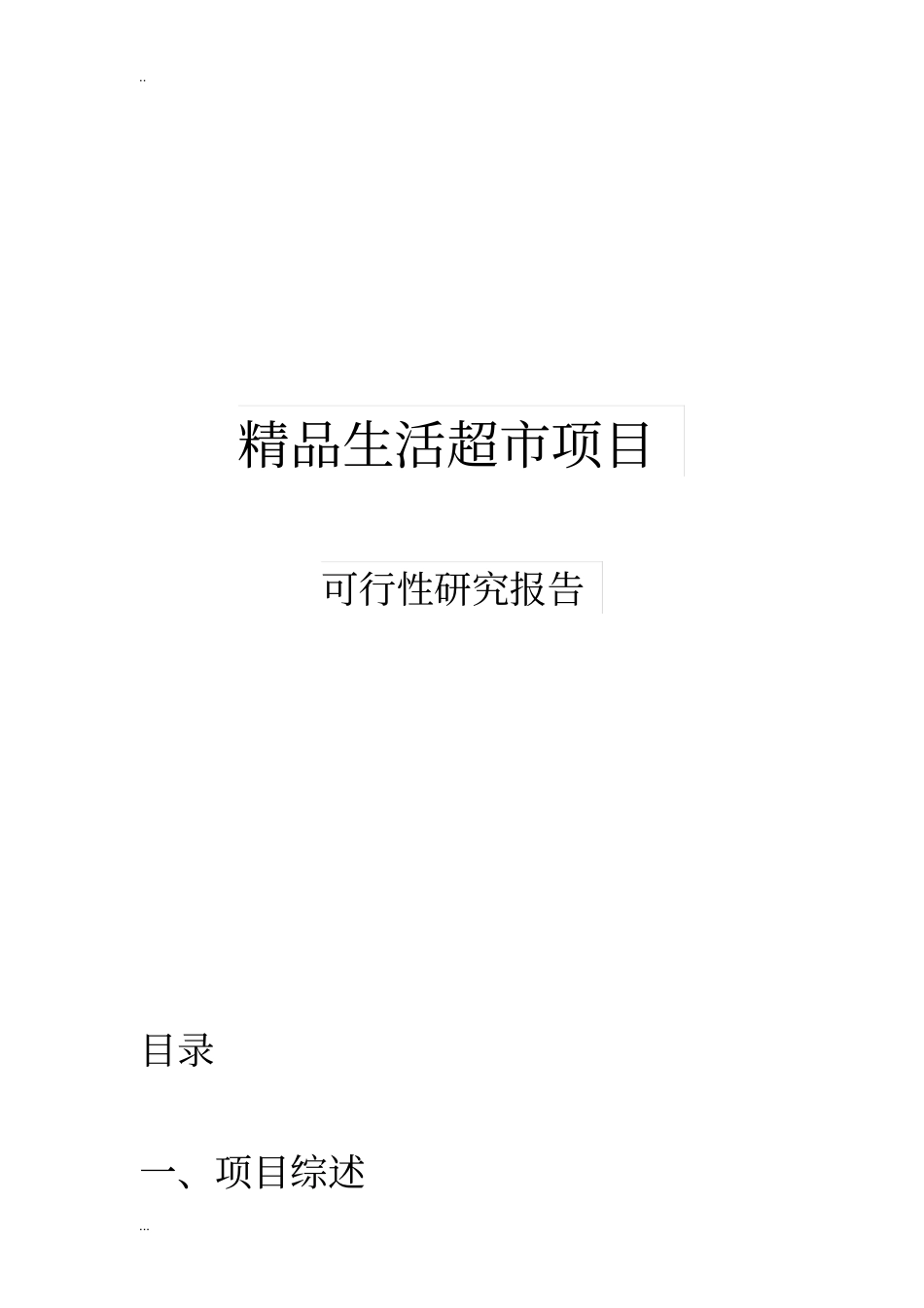 精品生活超项目可行性研究报告_第1页
