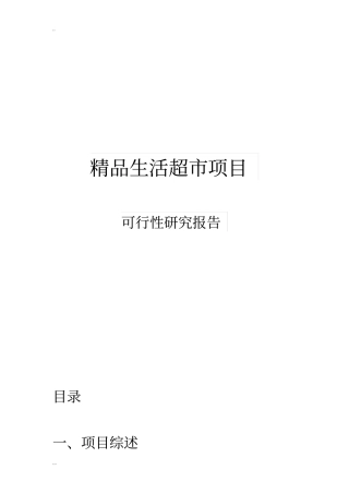 精品生活超项目可行性研究报告