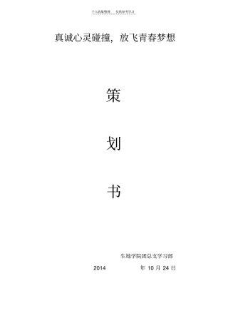 精品真诚心灵碰撞,放飞青春梦想策划书