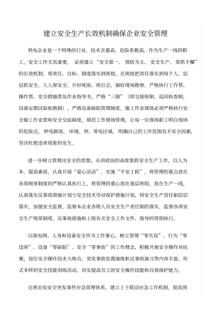 精品范文--建立安全生产长效机制确保企业安全管理