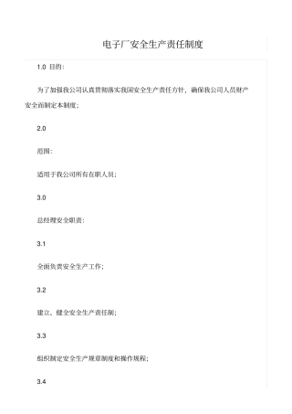 精品范文--电子厂安全生产责任制度