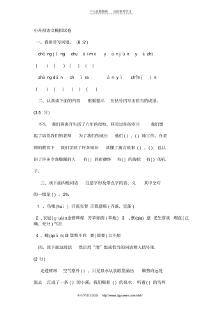 精选小升初语文模拟试卷及答案