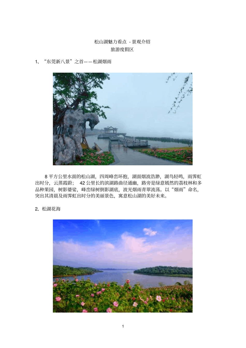 精选松山湖魅力看点-景观介绍_第1页