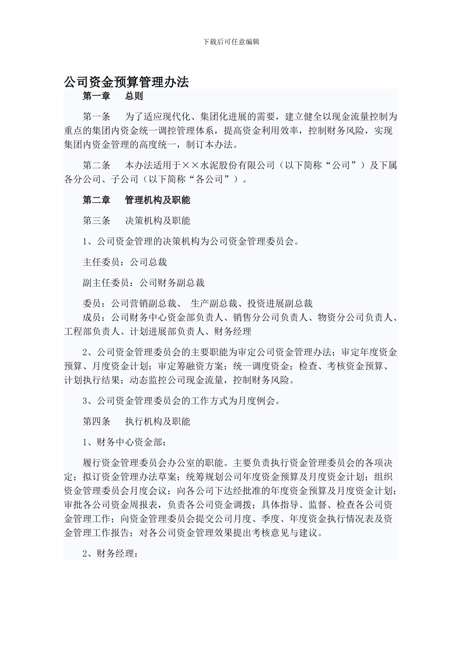 公司资金预算管理办法_第1页