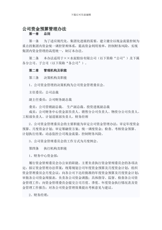 公司资金预算管理办法