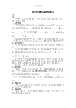 共同出资协议书