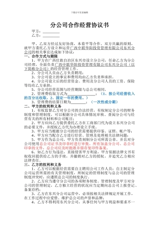 分公司与总公司合作协议(通用版)