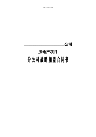 分公司战略加盟合同书