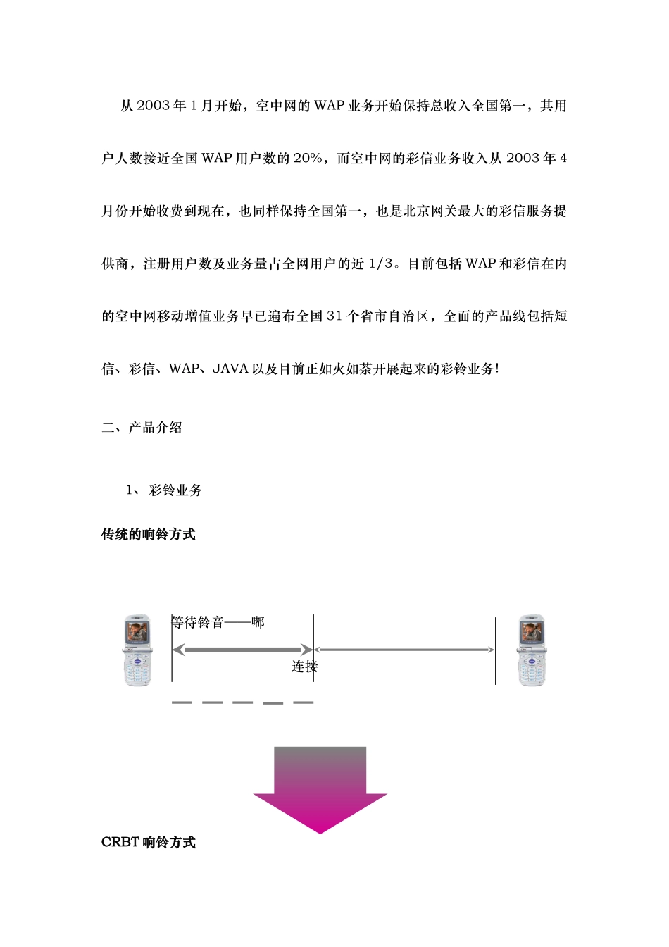 XX彩铃业务商业计划书_第3页