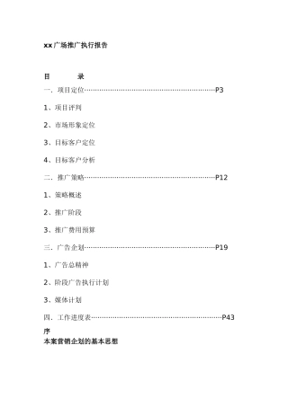 xx广场推广执行报告