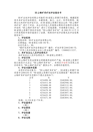 XX山铜矿采矿权评估报告书