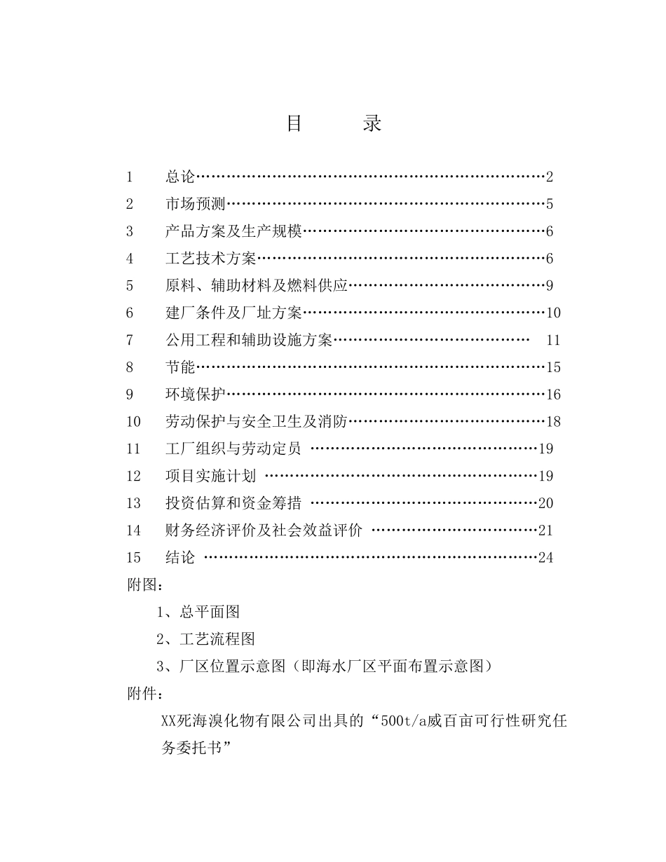 XX死海溴化物有限公司年产500吨威百亩项目可行性研究报告_第1页