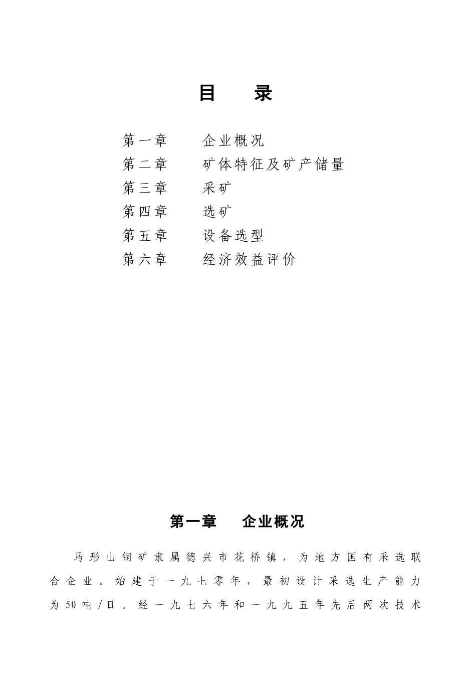 XX铜矿项目建议书_第1页