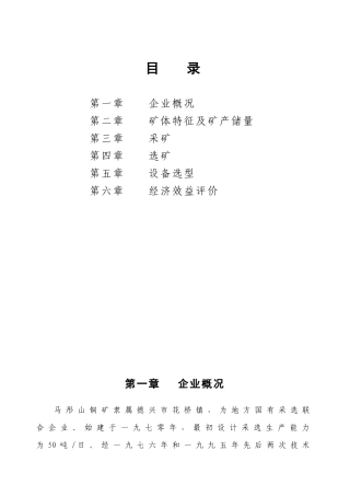 XX铜矿项目建议书