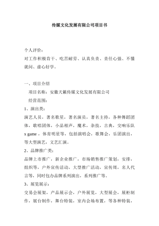 传媒文化发展有限公司项目书