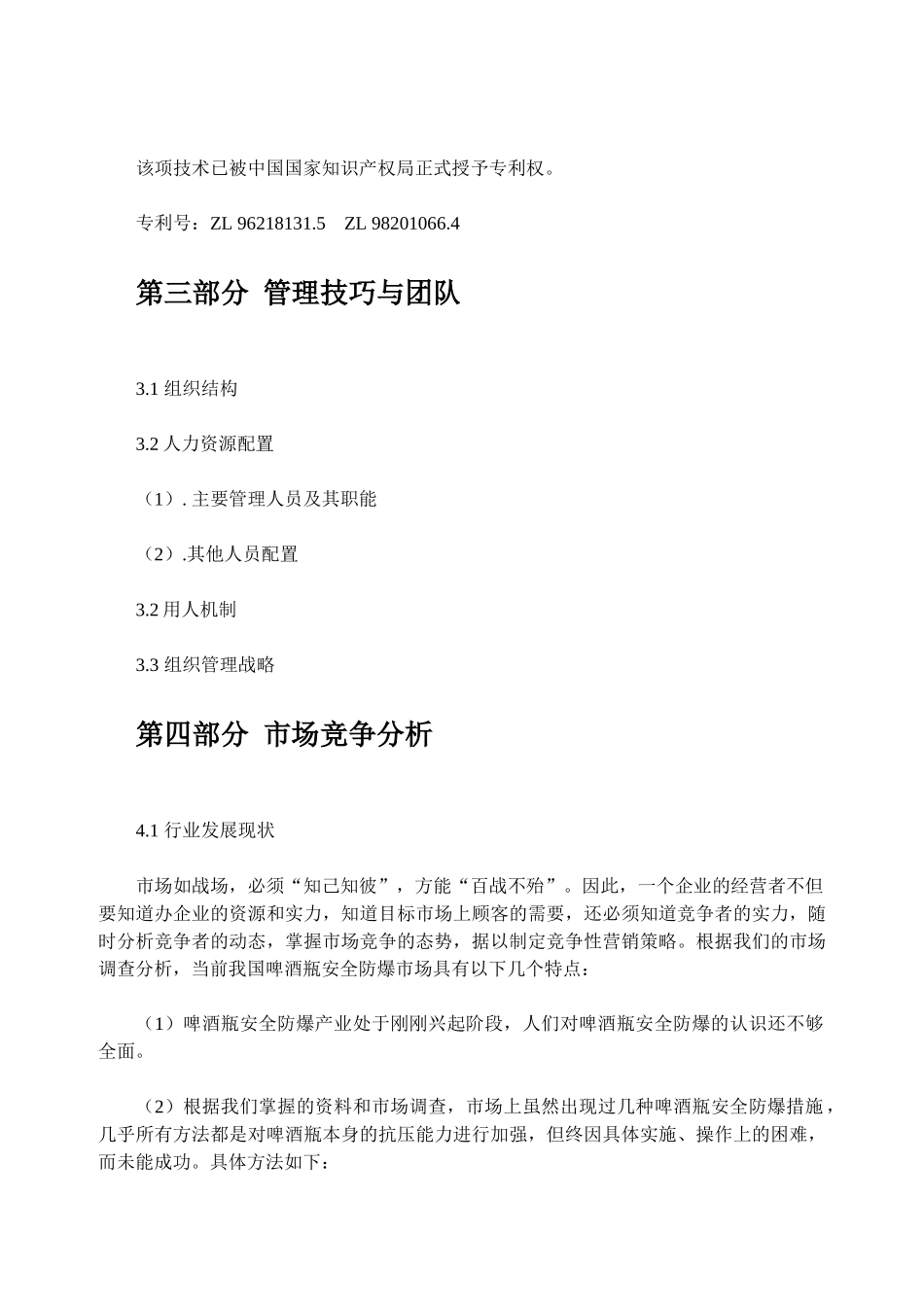 啤酒瓶安全防爆瓶盖项目商业计划书_第3页