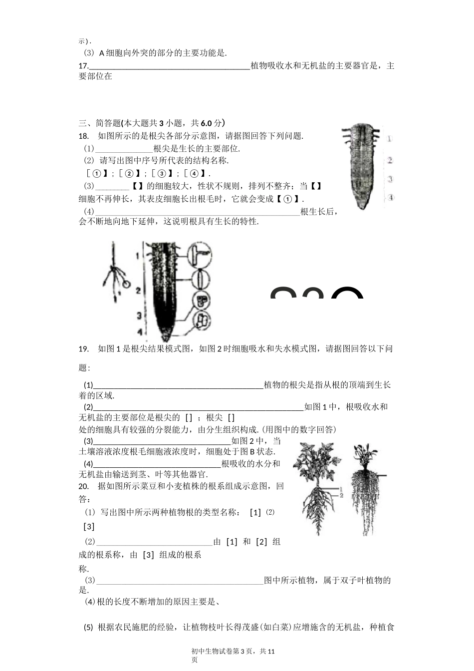 根的生长 习题(含答案)_第3页