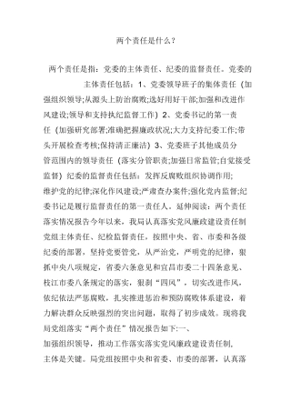 两个责任是什么？