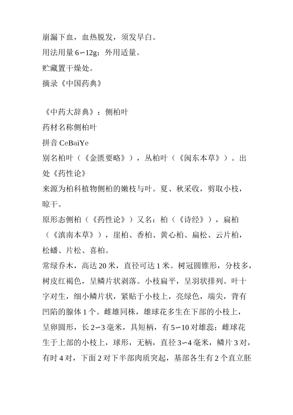 侧柏叶的药用价值_第2页