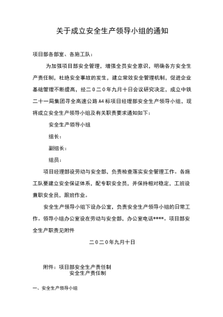 成立安全生产工作领导小组