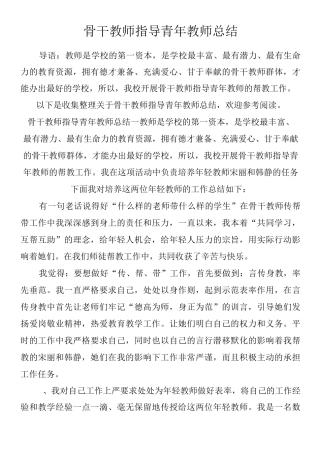 骨干教师指导青年教师总结