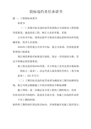 投标违约责任承诺书