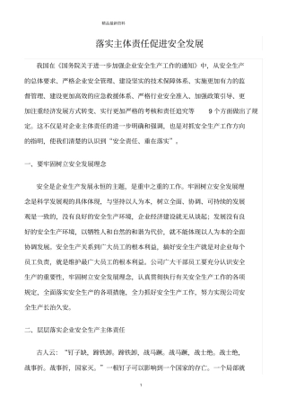 精选范文--落实主体责任促进安全发展