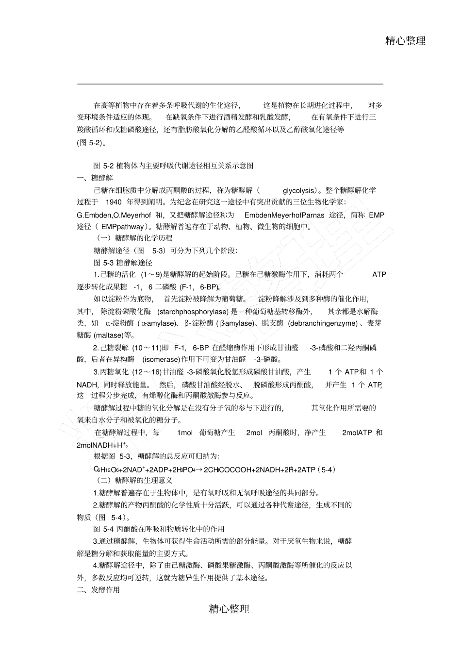 糖酵解三羧酸循环总结_第1页