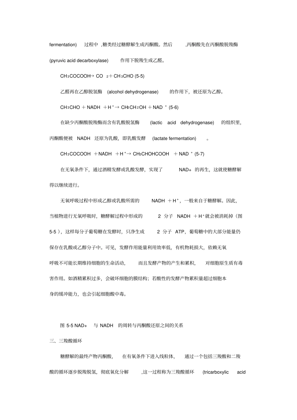 糖酵解三羧酸循环最全总结_第3页