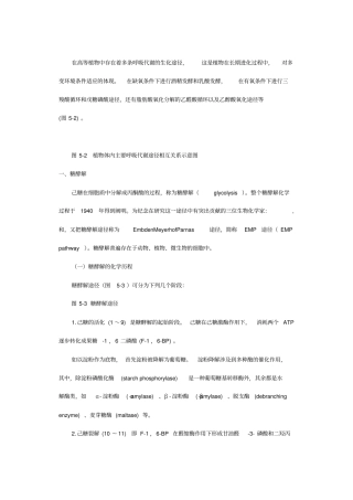 糖酵解三羧酸循环最全总结