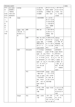 系统解剖学消化系统总结