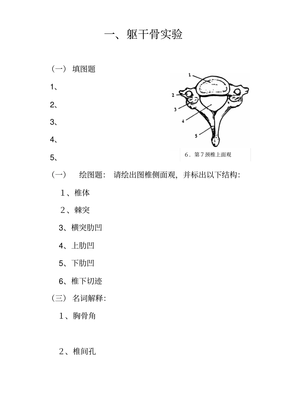 系统解剖学试验报告_第2页