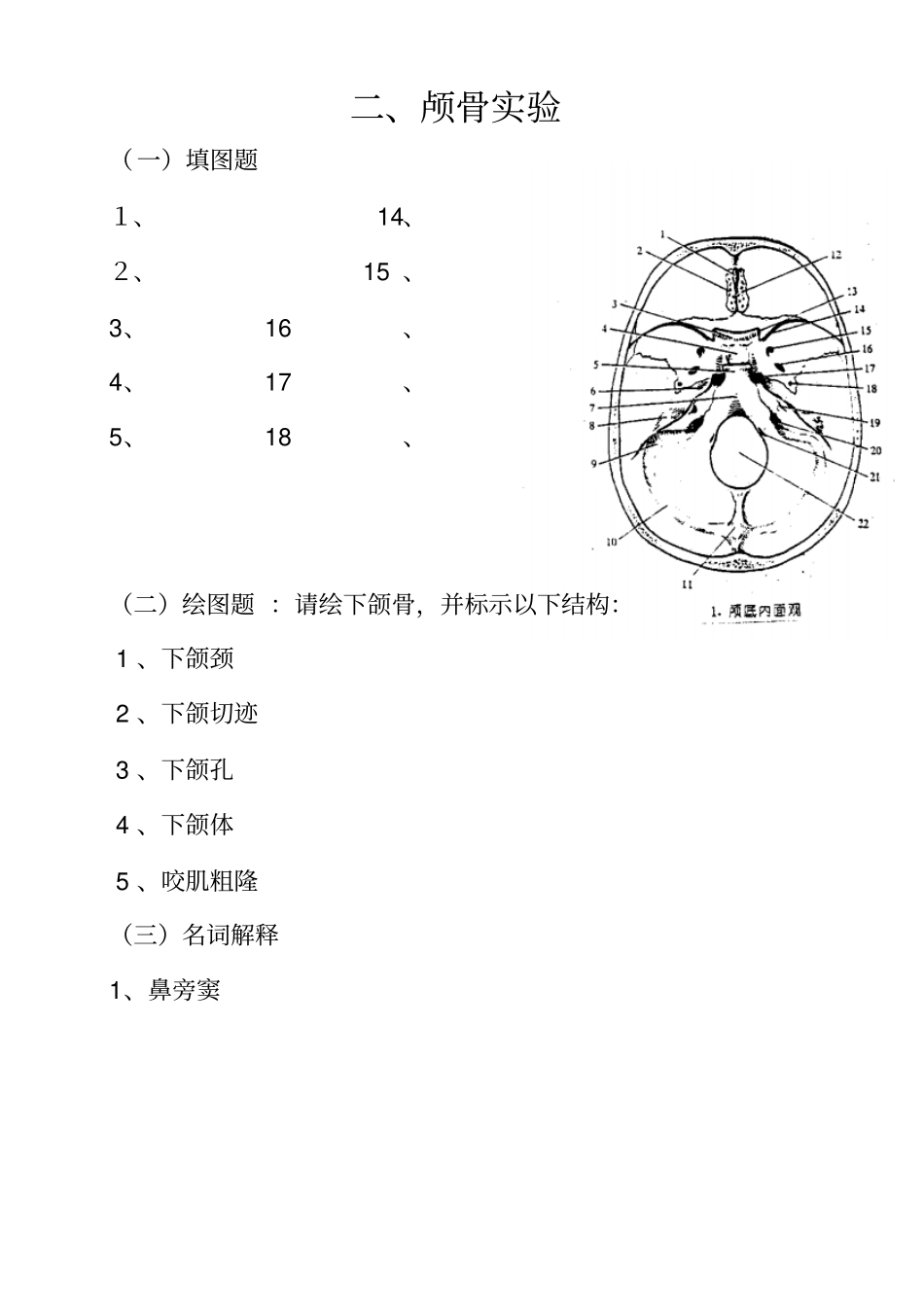 系统解剖学试验报告_第3页