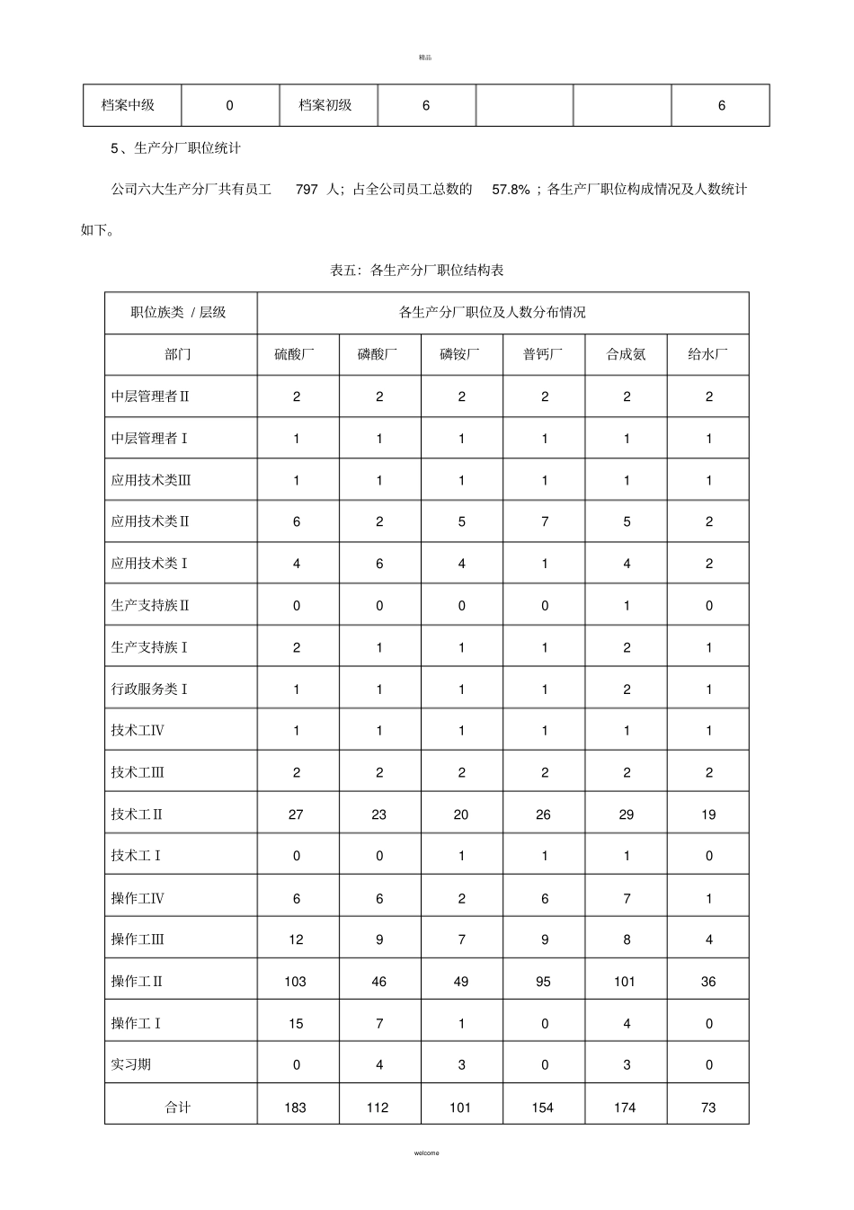 红星集团公司5年人力资源规划方案-15_第3页