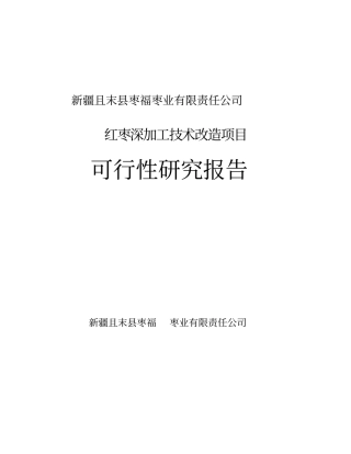 红枣深加工技术改造项目可行性研究报告