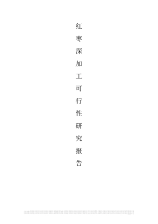 红枣深加工项目可行性研究报告23