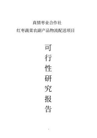 红枣蔬菜农副产品物流配送项目可行性研究报告书
